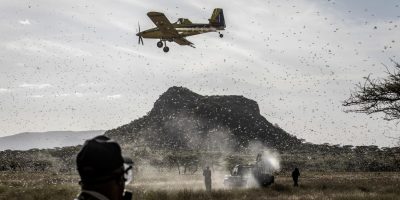 ESSENCIAL: em 2020, o uso da aviação agrícola ajudou a FAO a evitar a perda de 4,5 milhões de toneladas de alimentos em uma das regiões mais pobres do planeta – foto: FAO/arquivo