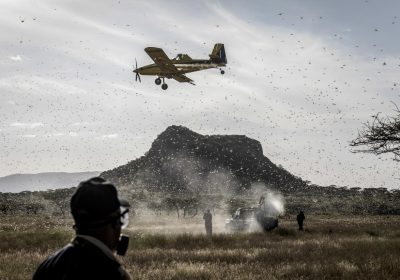 ESSENCIAL: em 2020, o uso da aviação agrícola ajudou a FAO a evitar a perda de 4,5 milhões de toneladas de alimentos em uma das regiões mais pobres do planeta – foto: FAO/arquivo