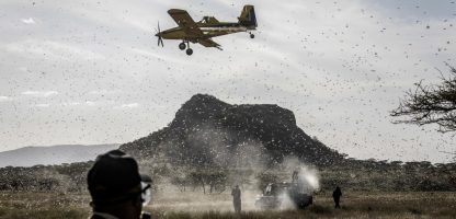 ESSENCIAL: em 2020, o uso da aviação agrícola ajudou a FAO a evitar a perda de 4,5 milhões de toneladas de alimentos em uma das regiões mais pobres do planeta – foto: FAO/arquivo