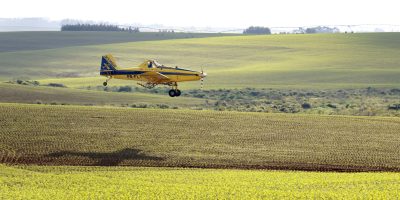 51662394515_f3a4782036_k