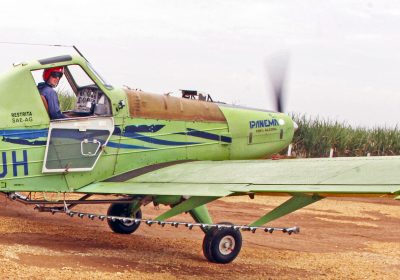 Piloto-Sana
