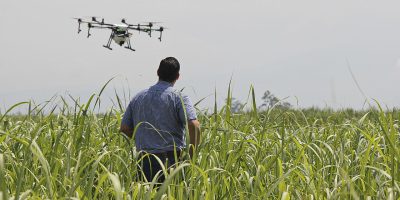 IMPORTÂNCIA: uso das ferramentas remotas em campo vem se tornando essencial para levar tecnologia de precisão a pequenos agricultores e garantir produtividade nas lavouras europeias
