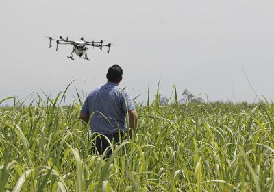 IMPORTÂNCIA: uso das ferramentas remotas em campo vem se tornando essencial para levar tecnologia de precisão a pequenos agricultores e garantir produtividade nas lavouras europeias