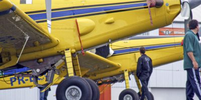 DINAMISMO: proposta amplia possibilidades de contratação sem extinguir direitos em jornadas conforme os ciclos de safras - foto: Castor Becker Júnior/C5 NewsPress