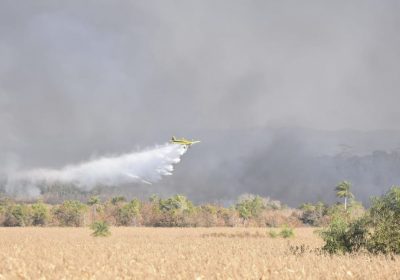 pantanal